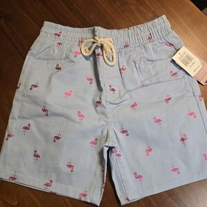 Drill Clothing Co Light Blue Flamingo Print Men's Shorts Small